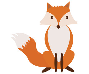 wildlife fox