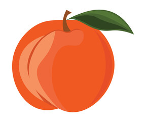 illustration of an apple