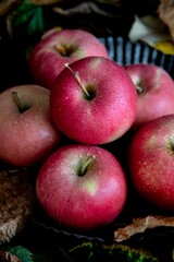 Red apples in an autumn setting