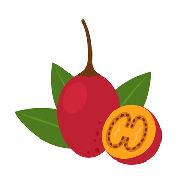 Tamarillo whole fruit and half isolated on white background. Solanum betaceum, tree tomato, sachatomate or blood fruit icon. Vector illustration of tropical exotic fruits in flat style.