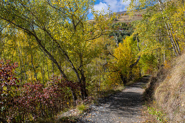 Fototapeta premium Amazing autumn fall colors as seen above Lac du Chambon resrvoir, near Mizoen village in Isere, Rhyone-Alpes, France