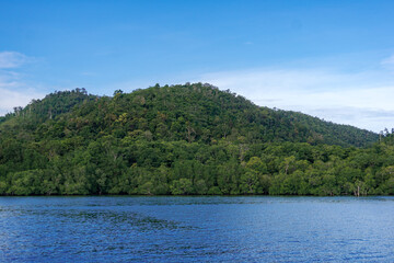 Mangrove, located in Cendrawasih Bay National Park, West Papua Province