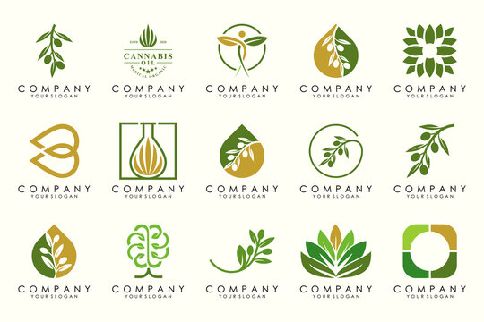 creative leaf and olive oil logo design icon set.