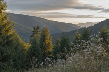 autumn in the mountains