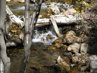 waterfall in the forest