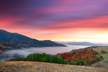 Ukraine. Warm autumn in the Carpathians. Very beautiful picturesque, beech, birch and pine forests on the slopes of the Synevyr Mountains glow with bright colors against the backdrop of sunset.
