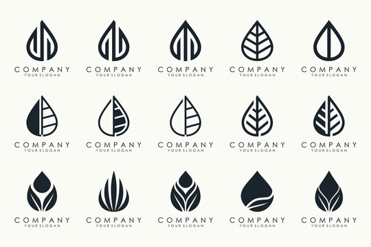 leaf and drop logo design vector