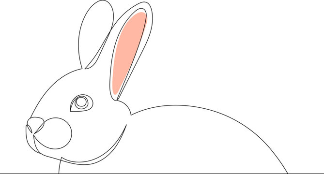 rabbits portrait drawing in one continuous line, isolated, vector