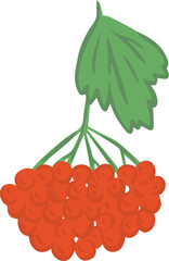 Ukrainian red guelder rose with leaf in cartoon style
