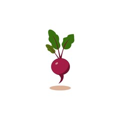 radish clipart image illustration vector