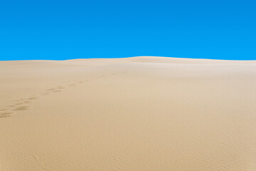 Fototapeta na wymiar sandy desert with disappearing human footprints