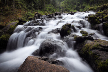 Naklejka premium Water Flowing Over Mossy Rocks on a Riverbed 