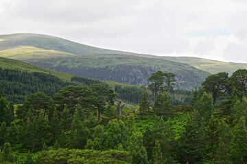 Glen Affric National Nature Reserve, Scotland: Glen Affric, often described as the most beautiful glen in Scotland, contains one of the largest ancient Caledonian pinewoods in the country.