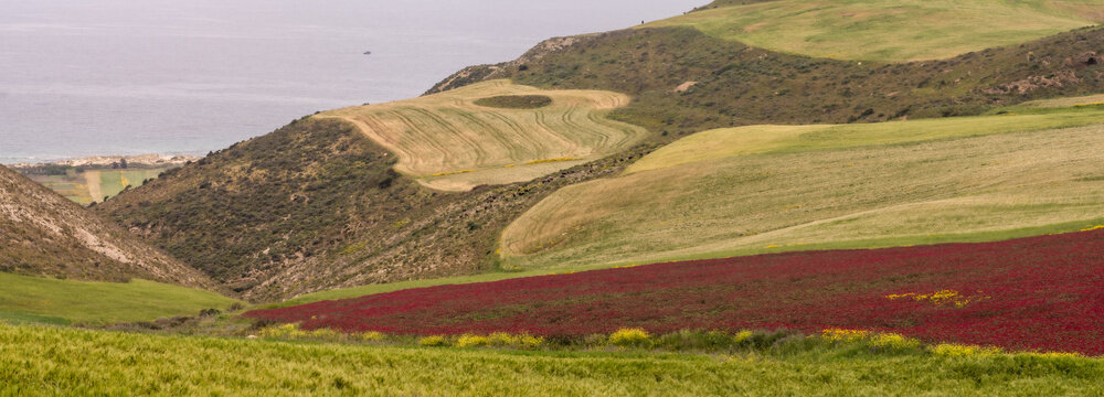 View of the countryside, Bizerte region - northern tunisia
