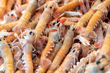 fresh shrimp at the fish market