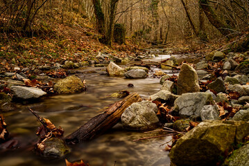 Rivière sauvage des Pyrénées orientales 
