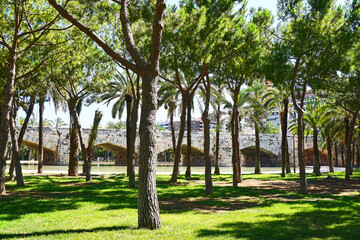 Fototapeta na wymiar A beautiful view from Turia Park in Valencia, Spain