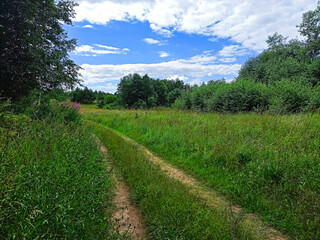 Rural road through a meadow
