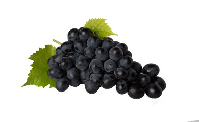 Blue Isabella grapes bunch isolated on white background
