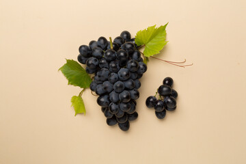 Bunch of ripe dark blue grapes with leaves on color background, top view