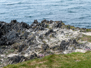Rocks and grass on the shore on a day. Seaside landscape. Picturesque coast. Black rock formation...