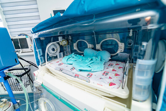 Modern Maternity Recovery Ward. Emergency Hospital Child Room.