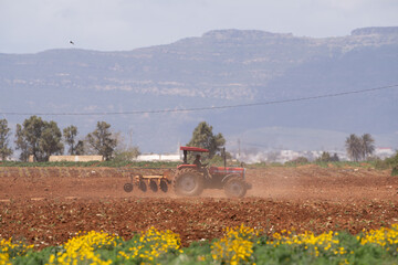 Obraz premium Various views of Cap Bon, north east Tunisia