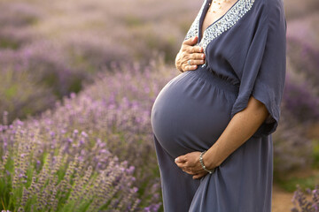 Belly of a pregnant woman in a lavender field at sunset