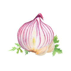Hand drawn watercolor onion, garlic and green parsley leaves isolated on white background