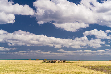 Various views of Cap Bon, north east Tunisia