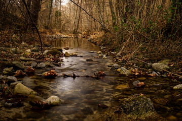 rivi&egrave;re sauvage des Pyr&eacute;n&eacute;es orientales 