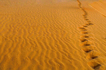 footprint in the desert, sand