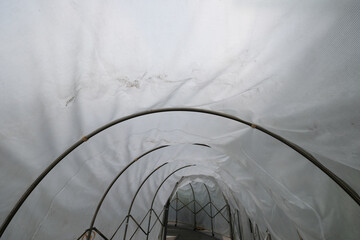 wire frame