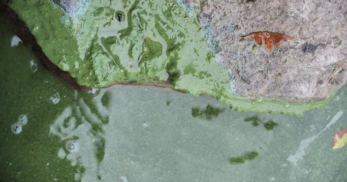 Vaguelettes contre rochers,nuances de couleurs verd&acirc;tres et brun&acirc;tres