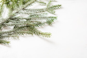 White holiday background with green branch and copy space