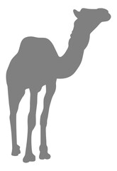 Camel Silhouette for Logo, Pictogram, Website, Apps, Art Illustration or Graphic Design Element. Format PNG