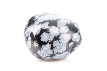 Tumbled Snowflake Obsidian Stone Isolated on White