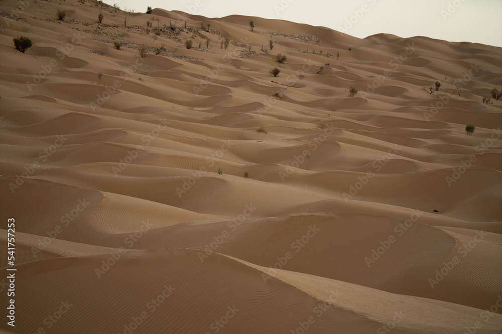 Poster Views of the desert, Douz region, southern Tunisia