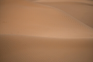 Views of the desert, Douz region, southern Tunisia