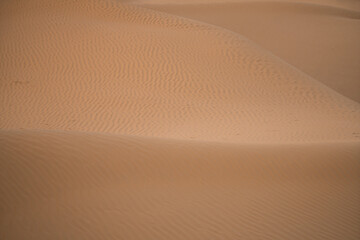 Views of the desert, Douz region, southern Tunisia