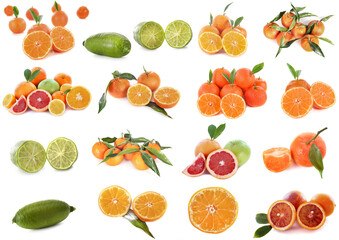 citrus fruits in studio