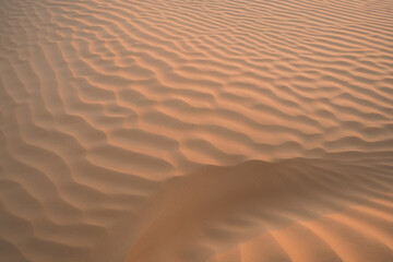 Views of the desert, Douz region, southern Tunisia