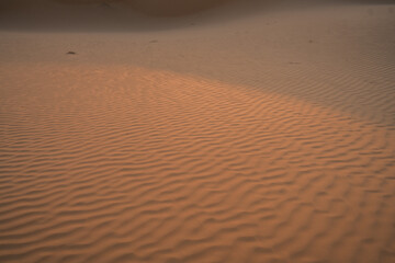 Views of the desert, Douz region, southern Tunisia