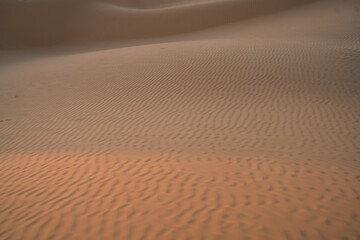 Views of the desert, Douz region, southern Tunisia