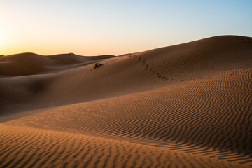 Fototapeta na wymiar Views of the desert, Douz region, southern Tunisia