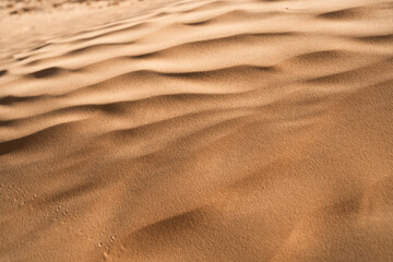 Views of the desert, Douz region, southern Tunisia