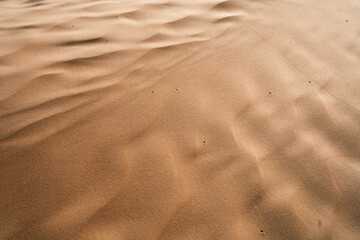 Views of the desert, Douz region, southern Tunisia