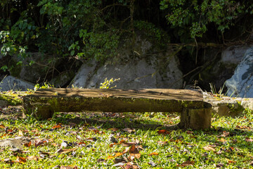 Handmade wooden chair in the forest