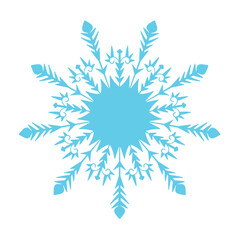Elegant snowflake. Vector design element.
