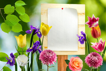 White sheet of paper pinned with a button to a wooden billboard for announcements